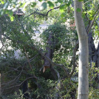 Happy's Tree Services - Tree Services Near Me - Whittier , California