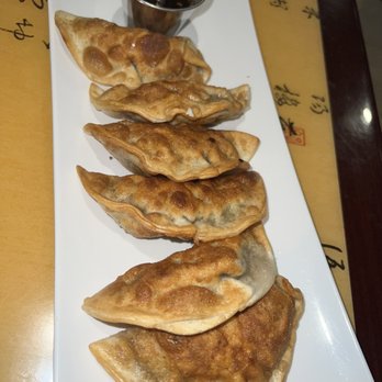 Spice C - Handmade Fried Pork Dumplings - Chinese Near Me - Philadelphia, Pennsylvania
