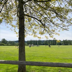 Sixty Acres Park - Boys scout rocket launchers