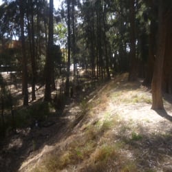 Pitman Park