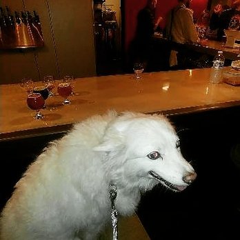 Rowdy's Brew Co - Another round please. - Breweries Near Me - Rancho Cucamonga, California