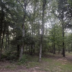 Seven Points Recreation Area - View from campsite!