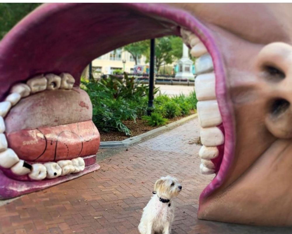 James Weldon Johnson Park - wedding in Jacksonville, FL