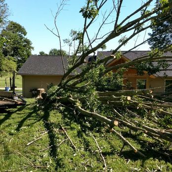 Wright Lawn Care - a man standing next to a fallen tree - Tree Services Near Me