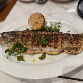 CTZN - Trout - Basque Near Me - Solana Beach, California CTZN - Trout - Basque Near Me - Solana Beach, California