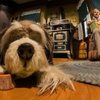 Walt Disney's Carousel of Progress gift card