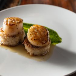 Fullerton Wines - Winter Scallops