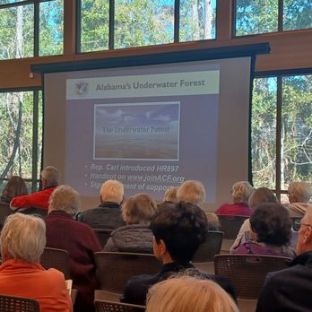 Learning Center at Gulf State Park - Great presentation and Q,&A on Alabama"s Underwater Forest. Thousands of acres over 50k years old. - Parks Near Me - Gulf Shores, Alabama Learning Center at Gulf State Park - Great presentation and Q,&A on Alabama"s Underwater Forest. Thousands of acres over 50k years old. - Parks Near Me - Gulf Shores, Alabama