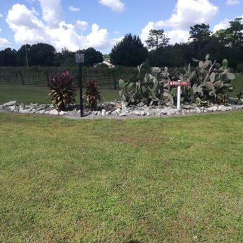Fiorelli Winery & Vineyard - One of the features on property - Wineries Near Me - Bradenton, Florida