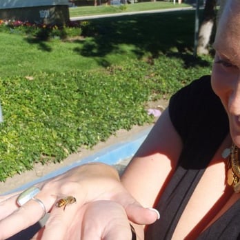 Bay Area Beebusters - George showed me that Drones don't sting.  Such a fun experience I had learning about these interesting creatures. - Pest Control Near Me
