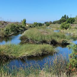 Beautiful view of the wetlands