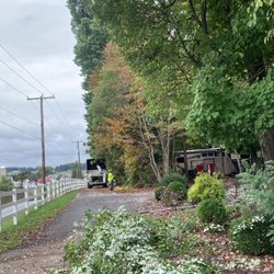 ABB Tree Services - hundreds of trees getting trim and shape nicely.