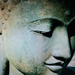 True Nature Healing Arts