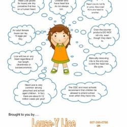 Lice Free NY - Facts of Lice