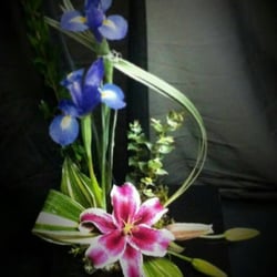 Maida's Floral Shop