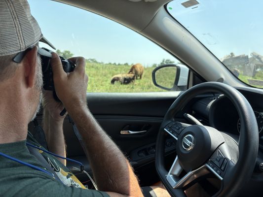 Bear Country USA by null