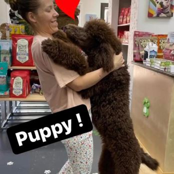Paw Organic - Pet Stores Near Me - McAllen, Texas Paw Organic - Pet Stores Near Me - McAllen, Texas