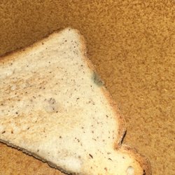 Skylarks Hidden Cafe - Moldy gluten free bread