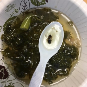 DragonEats - Vietnamese Near Me - San Francisco, California