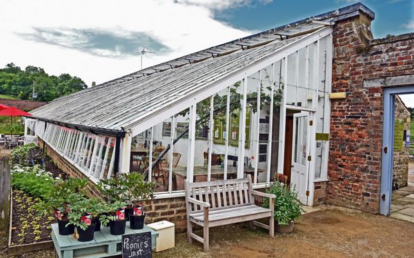 The Vinehouse Cafe at Helmsley walled Garden by null