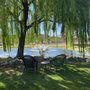 Photo of Winebelly Vineyard Tours