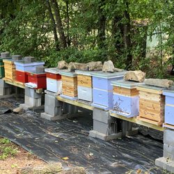 MuskoBee - First year hives!