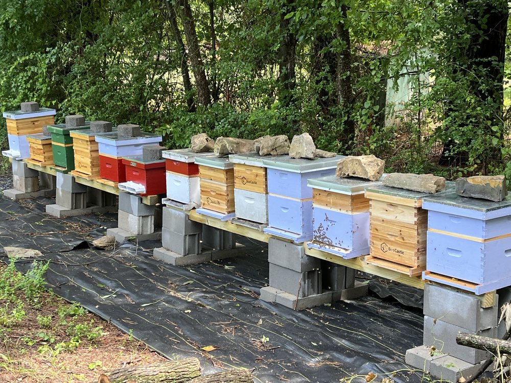 MuskoBee - beekeeping in Muskogee, OK
