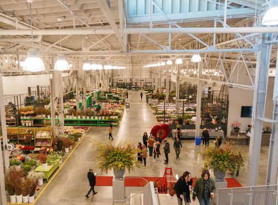 San Francisco Flower Market by null