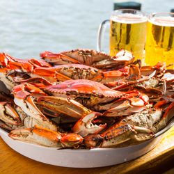 Pinchers - Seafood Restaurant | Blue Crab | Pinchers | Florida
