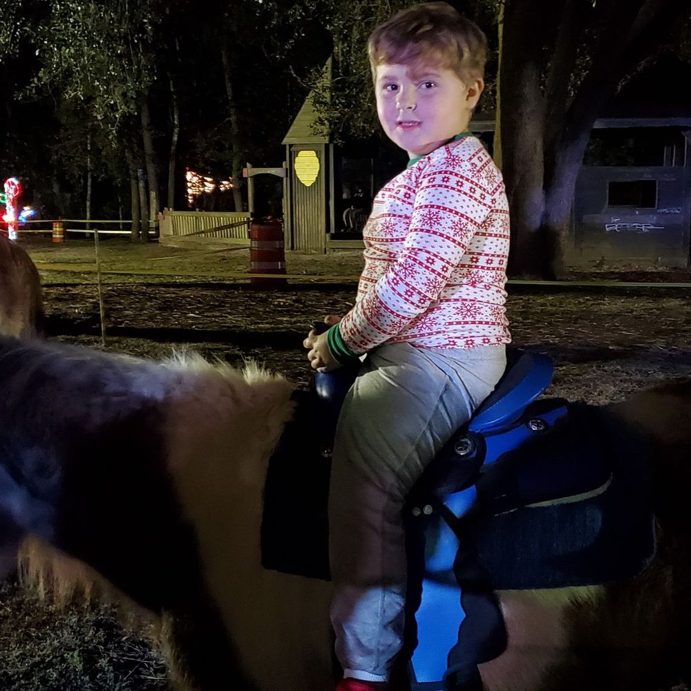 Clarke House Park - Horsey Rides - Parks Near Me - Orange Park, Florida