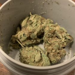 Ascend Cannabis Recreational and Medical Dispensary - Fort Lee - CRIPSY and DRY, touch it and turns to POWDER