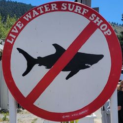 Live Water Surf Shop