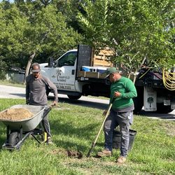 Fairfield Farms - Installing crepe myrtle