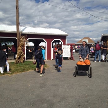 Homestead Farm - Fall weekend madness!! - Fruits & Veggies Near Me - Poolesville, Maryland