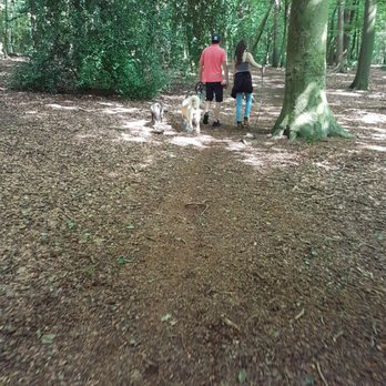Sutton Park - Parks Near Me - Sutton Coldfield, XWM