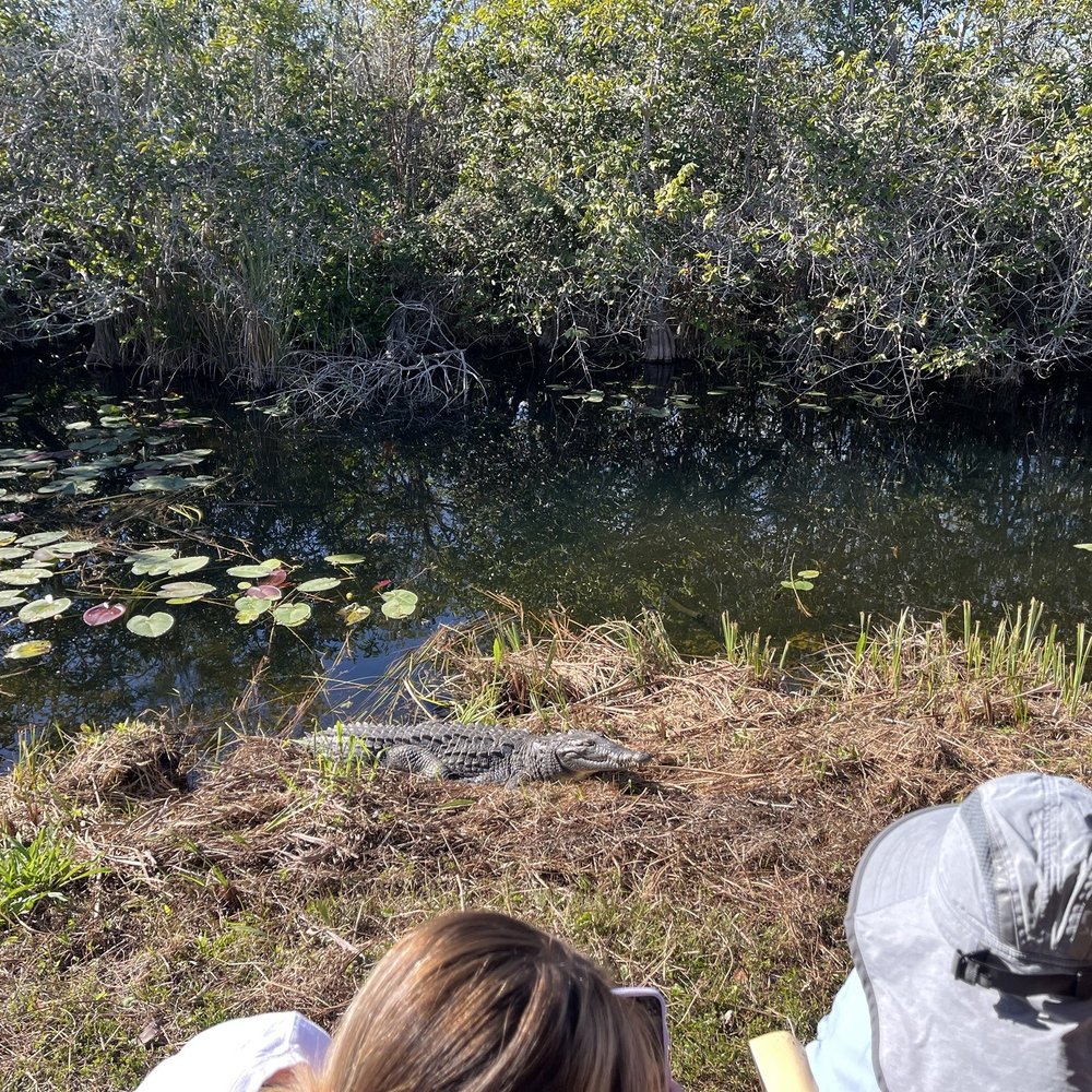 Shark Valley Tram Tours - Tours Near Me - Miami, Florida