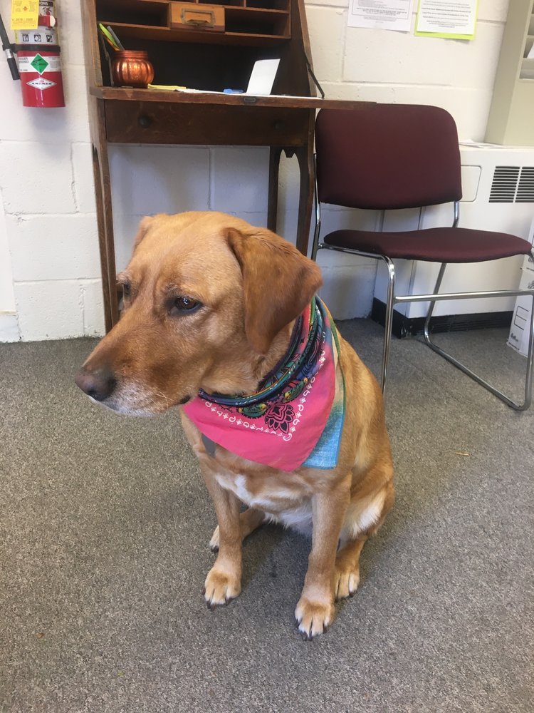 MATAMORAS BOROUGH 10 Avenue I, Matamoras, Pennsylvania Public