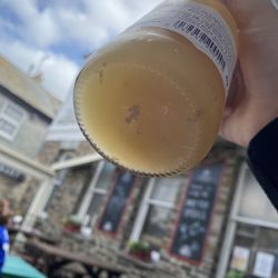 The Old Ship Hotel - Disgusting bits in apple juice