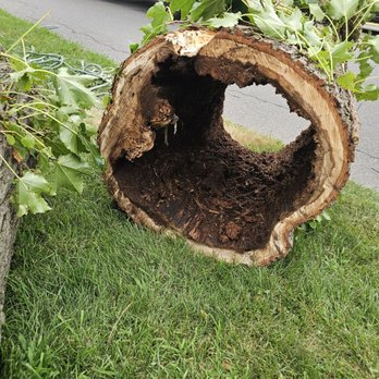 D&Y Tree Service - This is one tree truck and how howell it was. - Tree Services Near Me D&Y Tree Service - This is one tree truck and how howell it was. - Tree Services Near Me