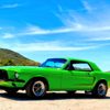 Cars ETC gift card