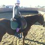 Photo of S&F Ranch