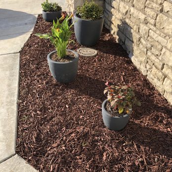 A Tamam Construction - After(drip system in potted plants and tanbark) - General Contractors Near Me - Fremont, California