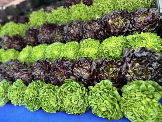 Santa Barbara Farmers Market // Saturday by null