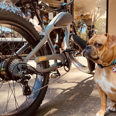 Electric Avenue Sports