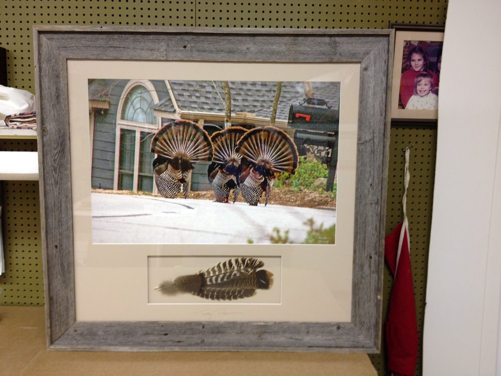 BLUE RIBBON CUSTOM FRAME SHOP THE Updated August 2024 414 Kanuga Rd, Hendersonville, North