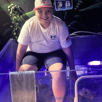 Austin Aquarium - Grandson at Dr Fish getting his feet exfoliated. - Aquariums Near Me - Austin, Texas