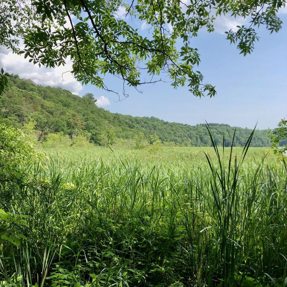 Constitution Marsh Audubon Center And Sanctuary - Parks Near Me - Garrison, New York Constitution Marsh Audubon Center And Sanctuary - Parks Near Me - Garrison, New York