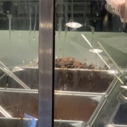 Filth on the plexi...not very appetizing.