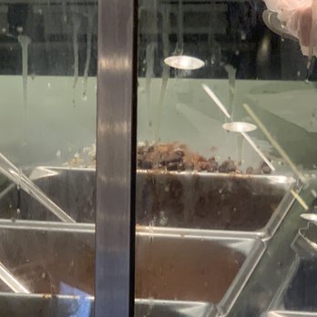 Chipotle Mexican Grill - Filth on the plexi...not very appetizing. - Mexican Near Me - Capitola, California