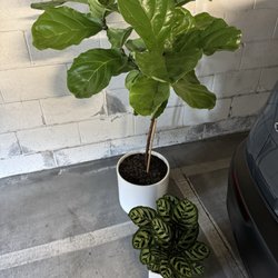 City Home & Garden